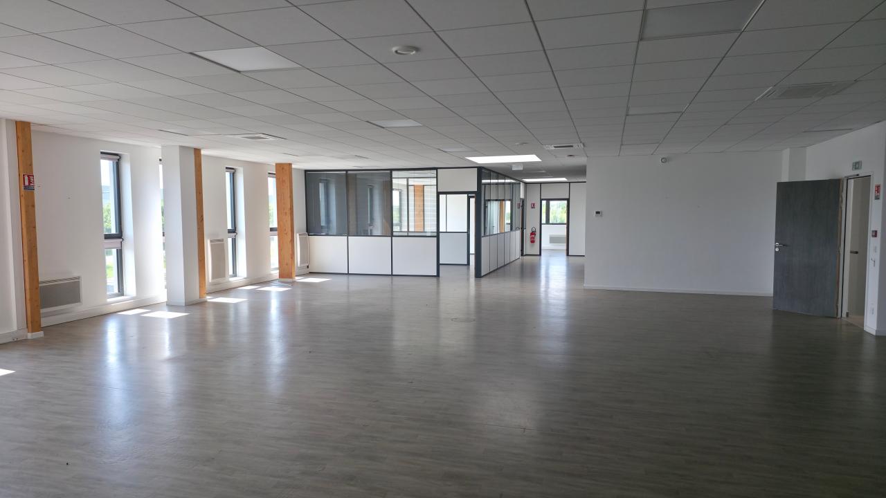 Location local d'activité Brie-Comte-Robert Seine-et-Marne OLACT2422780 3