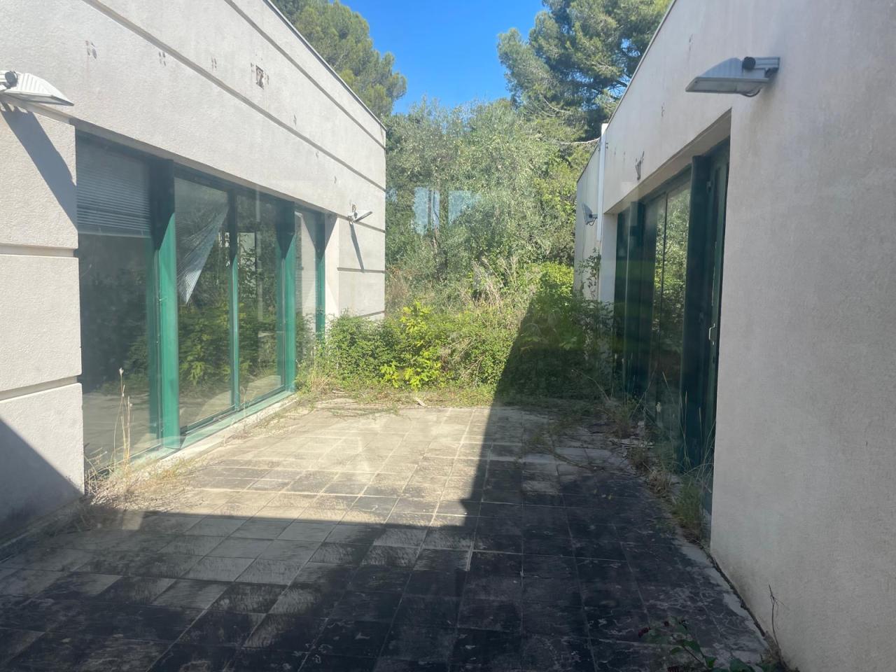 Location bureau Mauguio Hérault OLBUR2534903 4