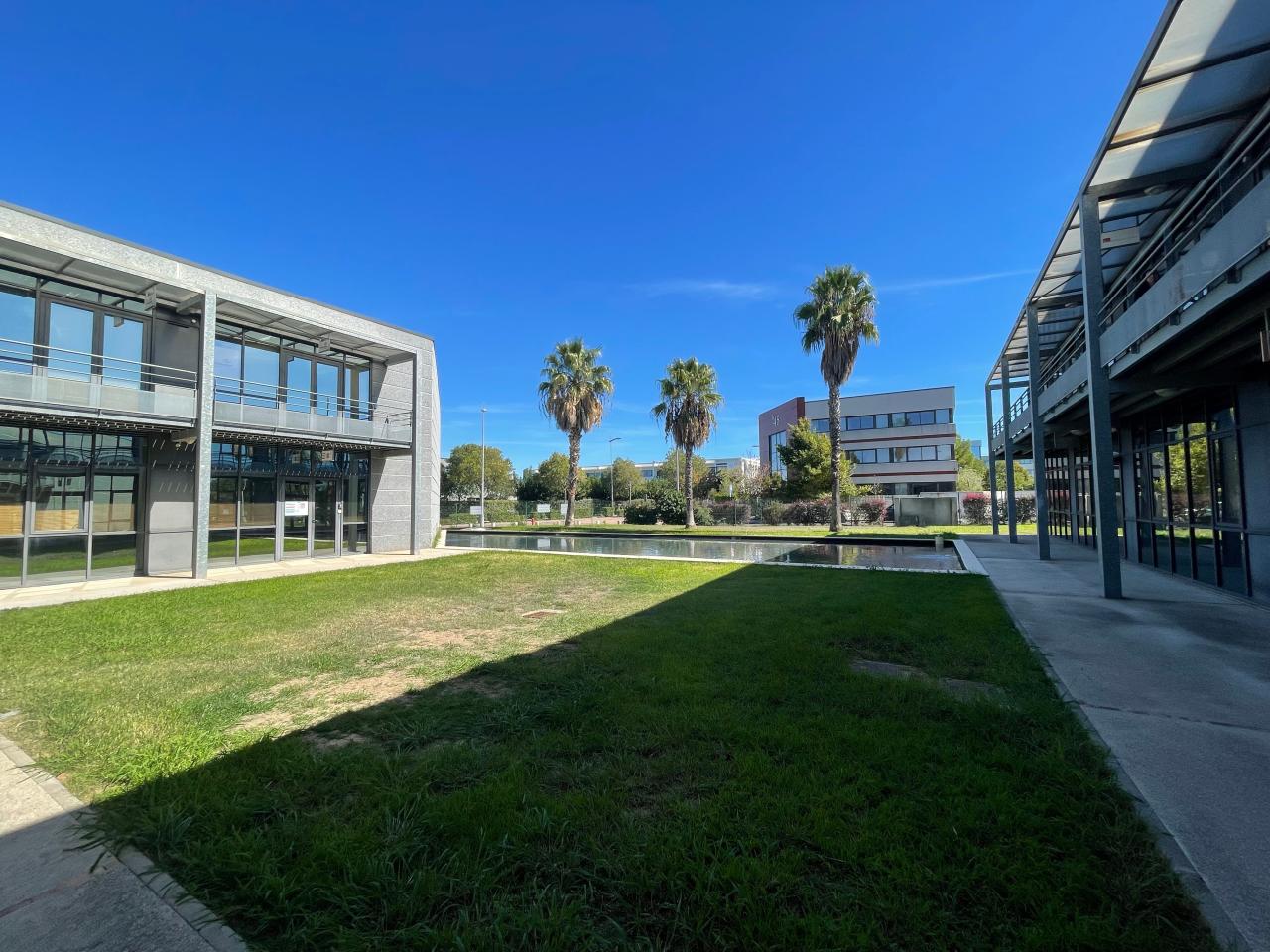 Location bureau Pérols Hérault OLBUR2644374 2