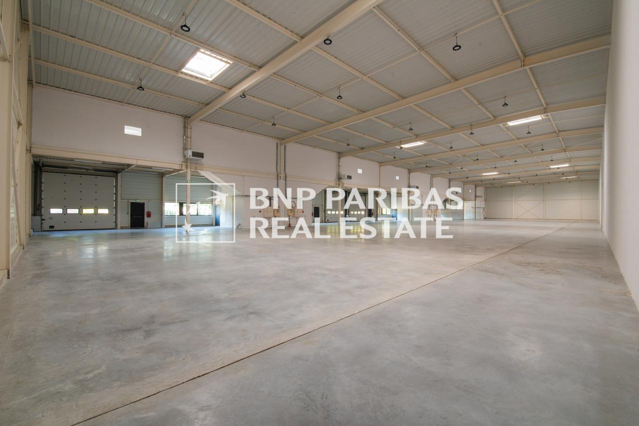 Location local d'activité Villebon-sur-Yvette Essonne OLACT2315085 1