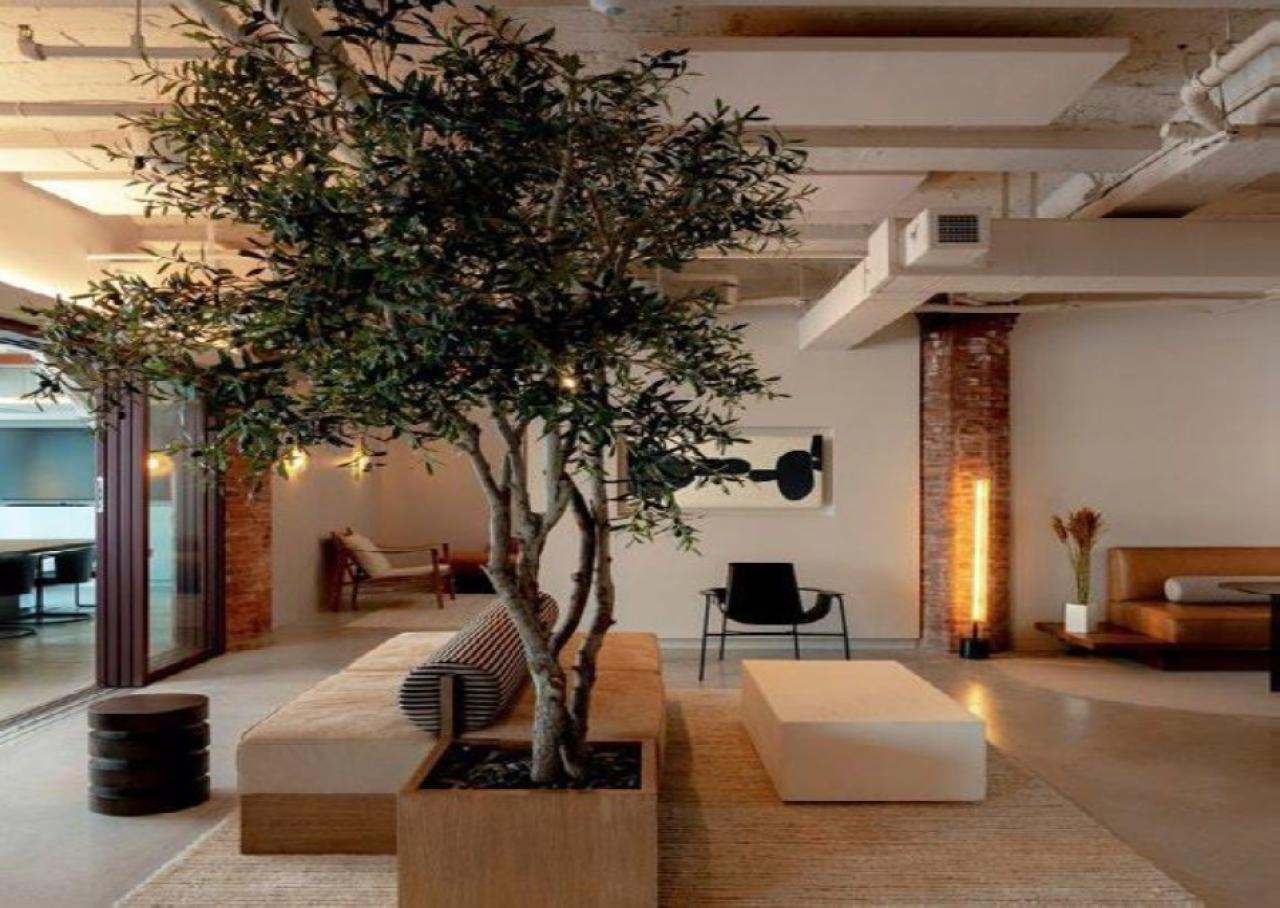 Location bureau Paris OLBUR2537911 4
