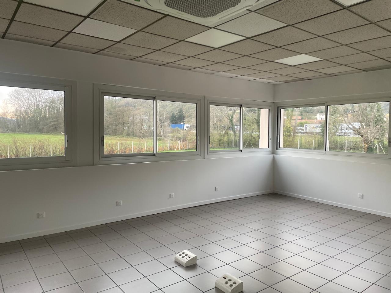 Location local d'activité Saint-Romain-en-Gier Rhône OLACT2537231 1