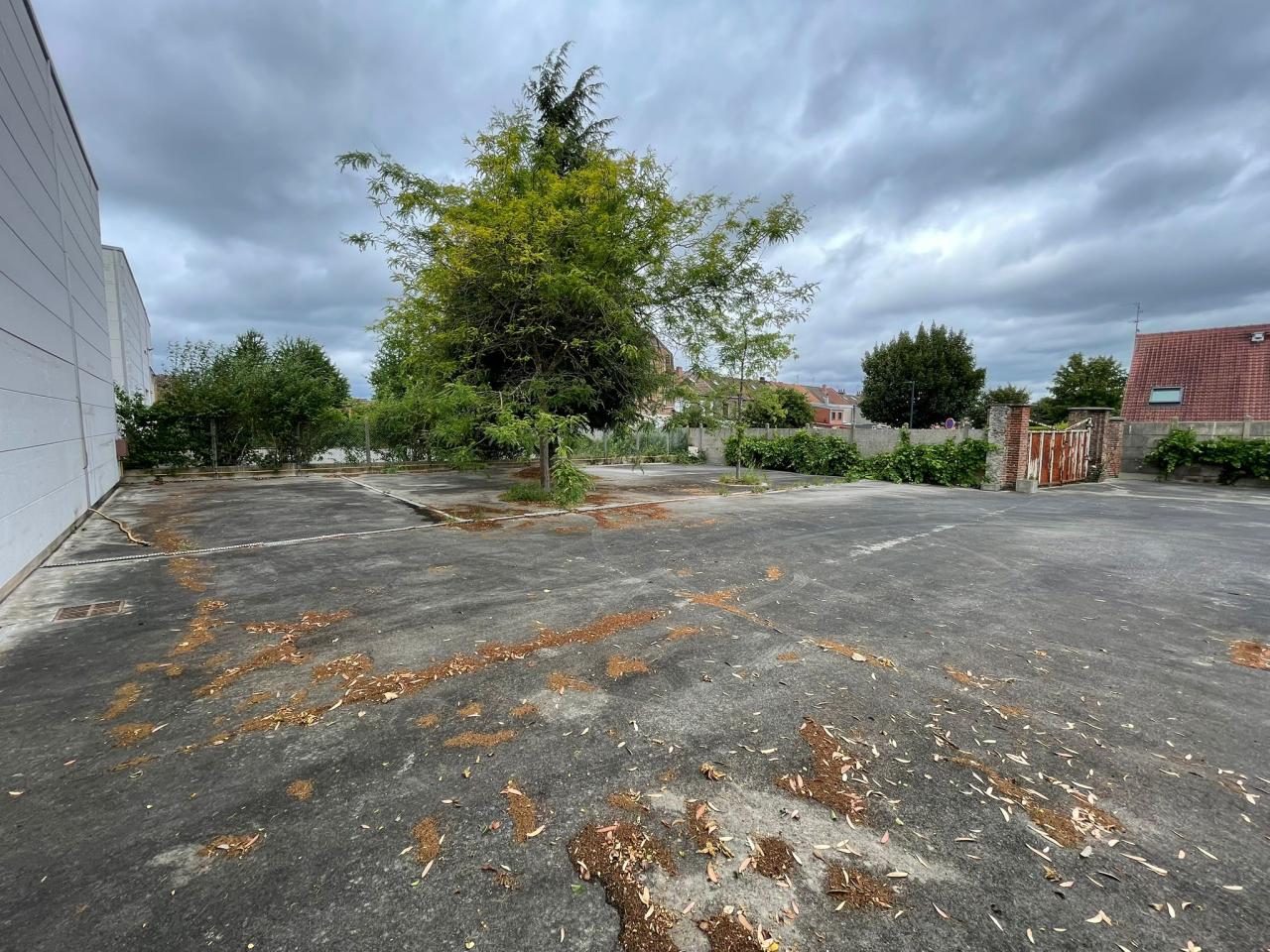 Location local d'activité Lesquin Nord OLACT2533411 4