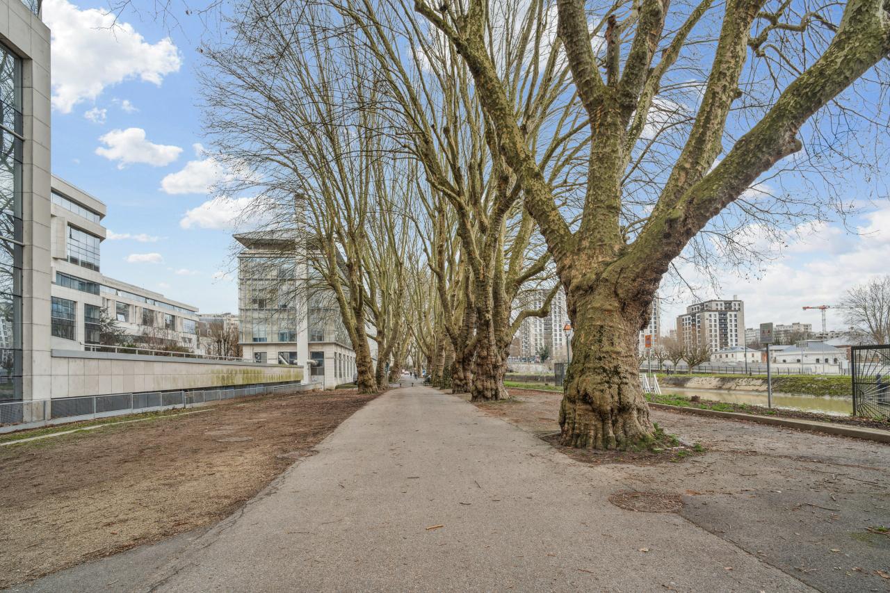 Location bureau Saint-Maurice Val-de-Marne OLBUR2309866 3