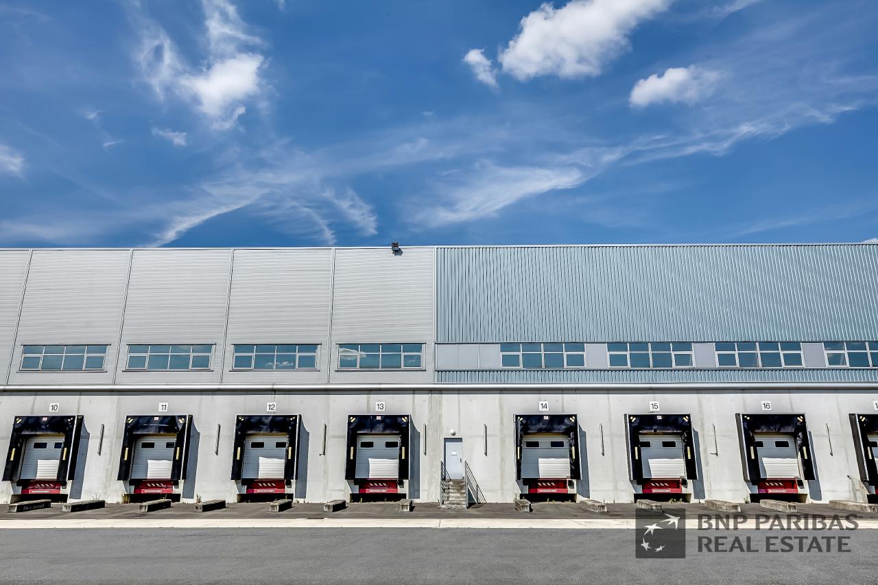 Location local d'activité Combs-la-Ville Seine-et-Marne OLACT2425676 2