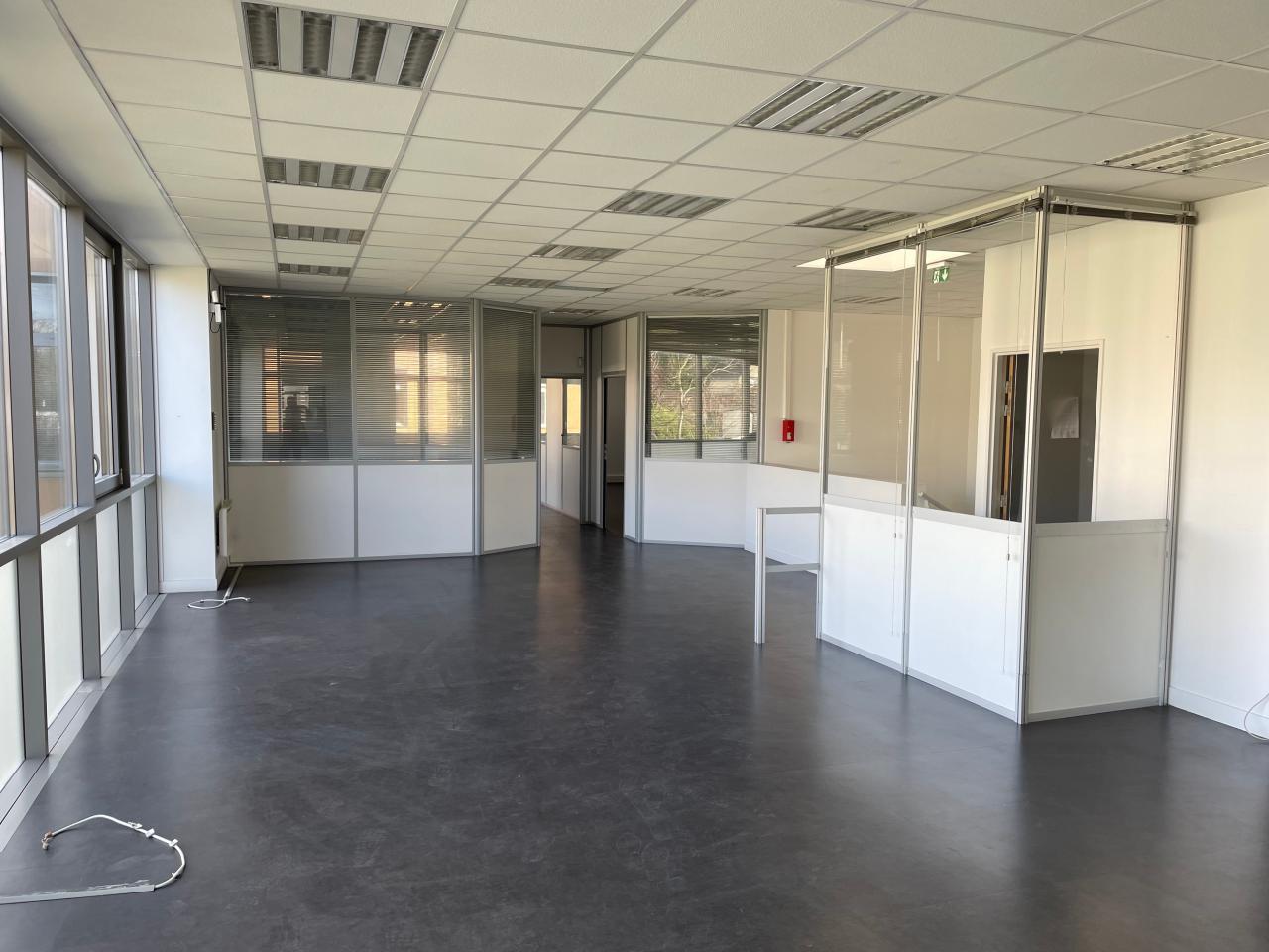 Location local d'activité Pierrefitte-sur-Seine Seine-Saint-Denis OLACT2640059 3