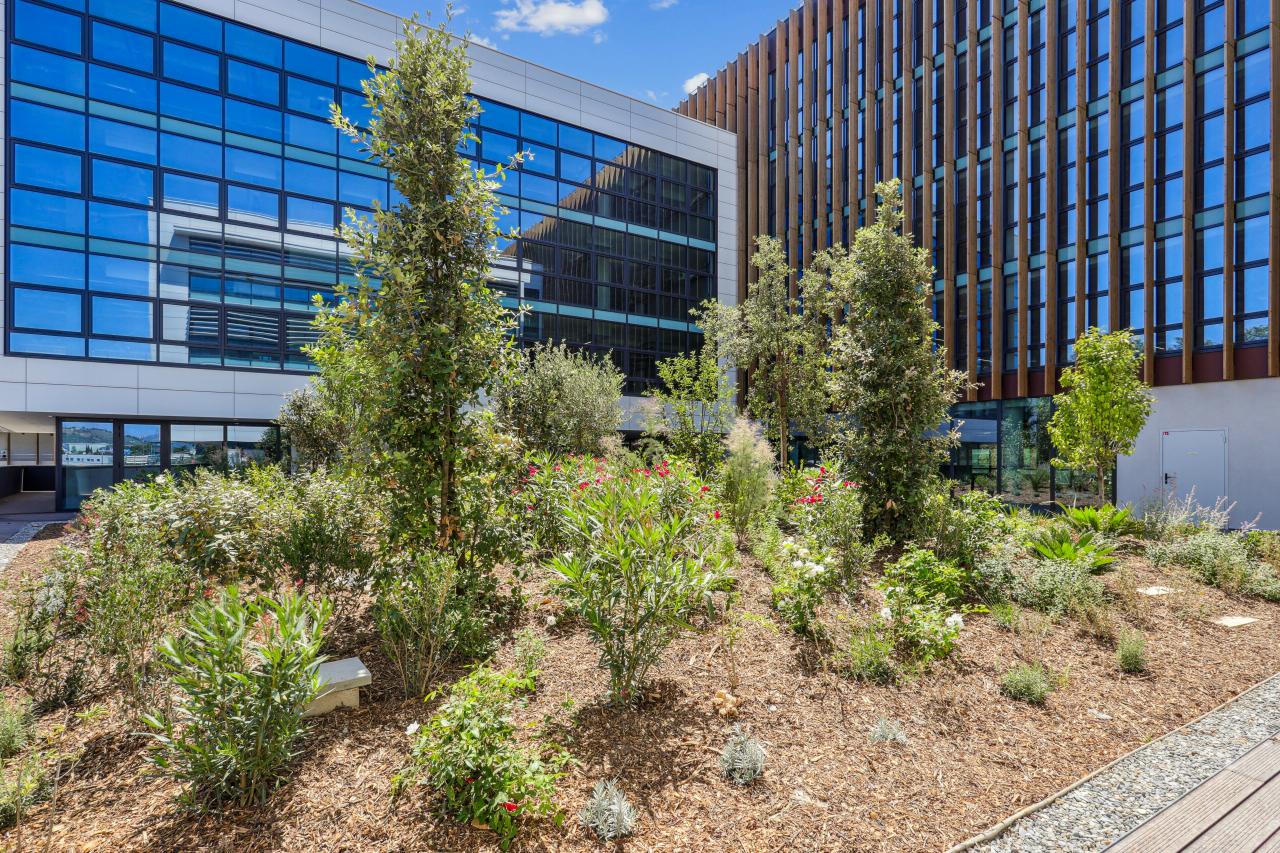 Location bureau Nice Alpes-Maritimes OLBUR2311500 2