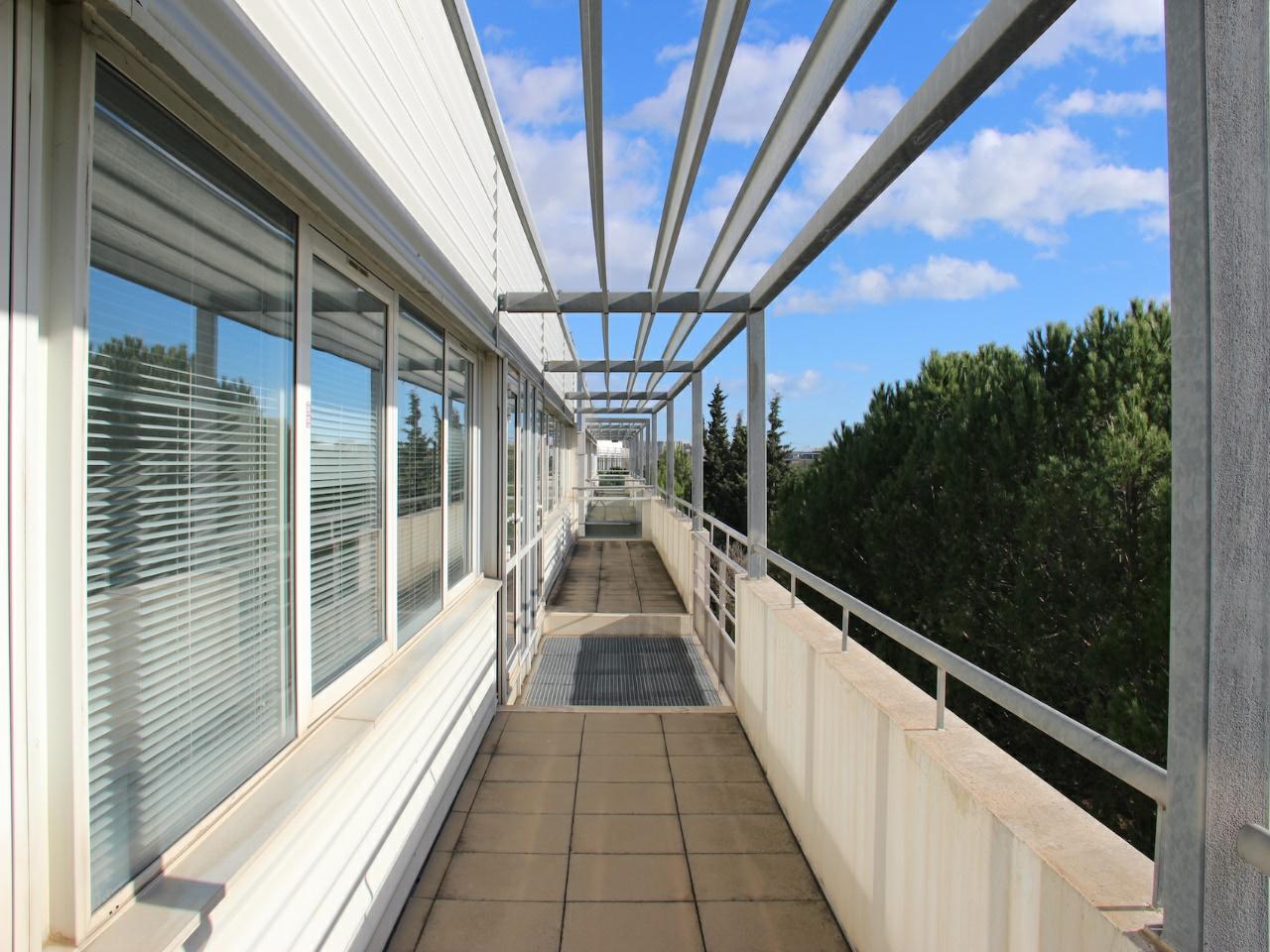 Vente bureau Montpellier Hérault OVBUR2535255 3