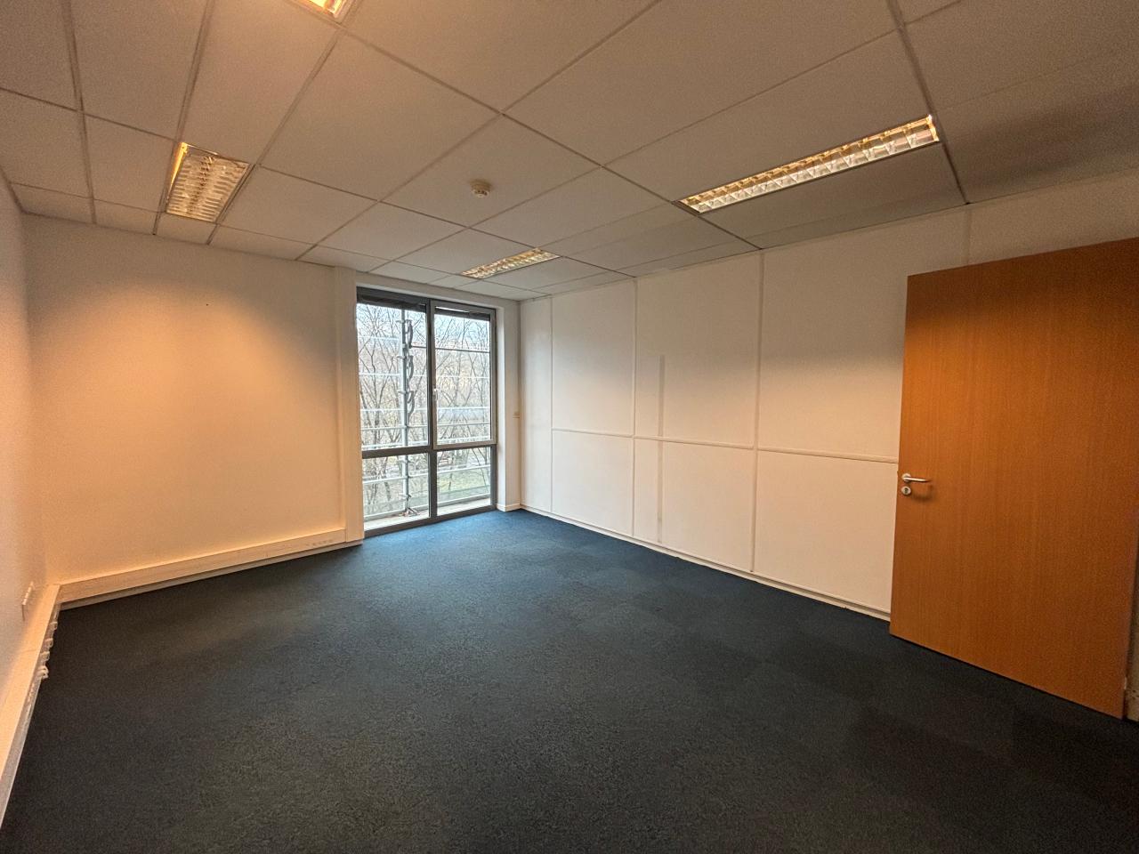 Location bureau Lyon Rhône OLBUR2536606 3