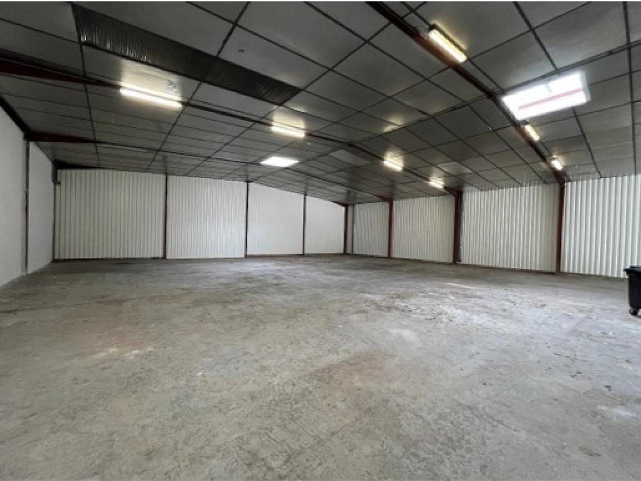 Location local d'activité Saint-Jean-de-Védas Hérault OLACT2645350 4