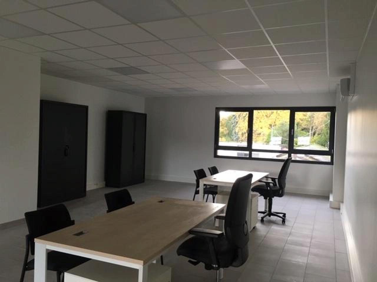 Location local d'activité Fleurieu-sur-Saône Rhône OLACT2120189 4