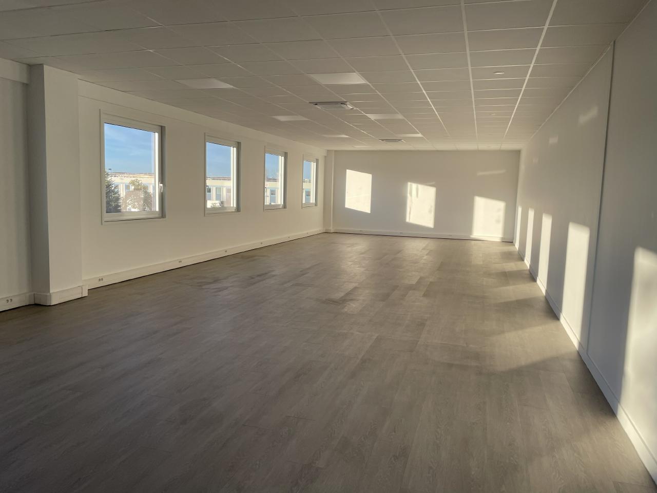 Vente local d'activité Saint-Quentin-Fallavier Isère OVACT2311149 4