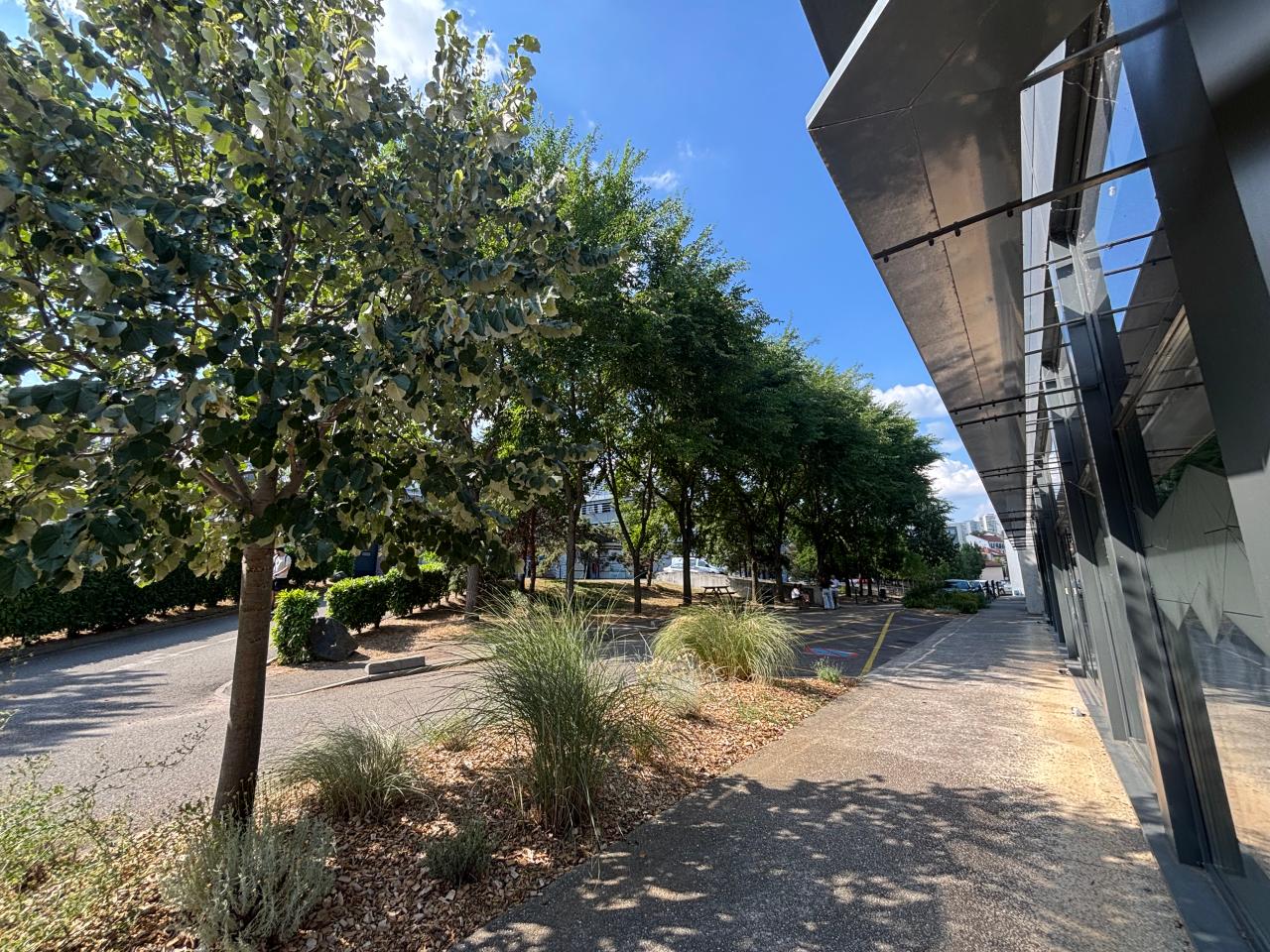 Location bureau Lyon Rhône OLBUR2642976 3
