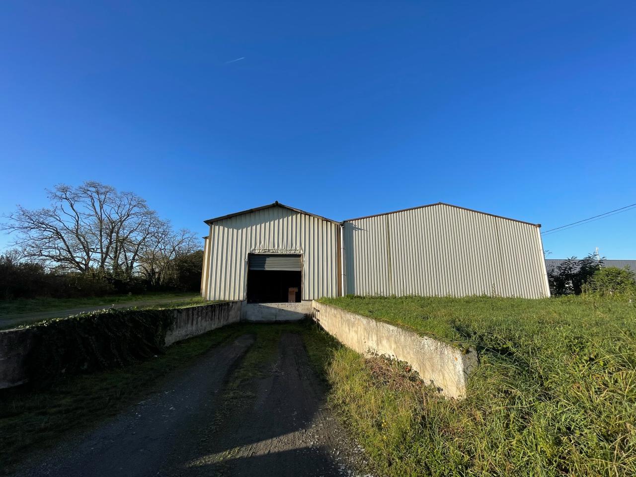 Vente local d'activité Saint-Jory Haute-Garonne OVACT2428242 1