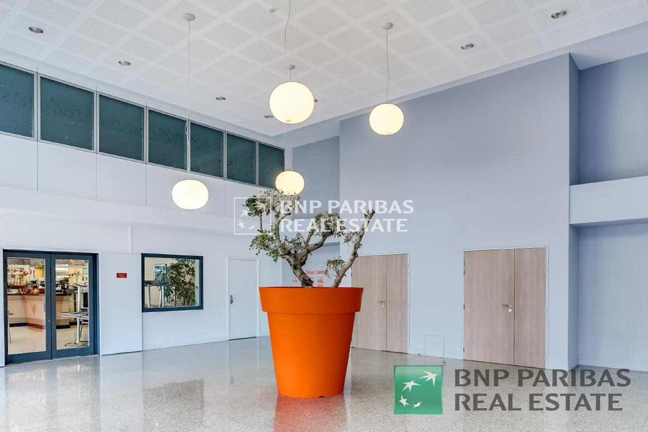 Location bureau Carros Alpes-Maritimes OLBUR2114585 1