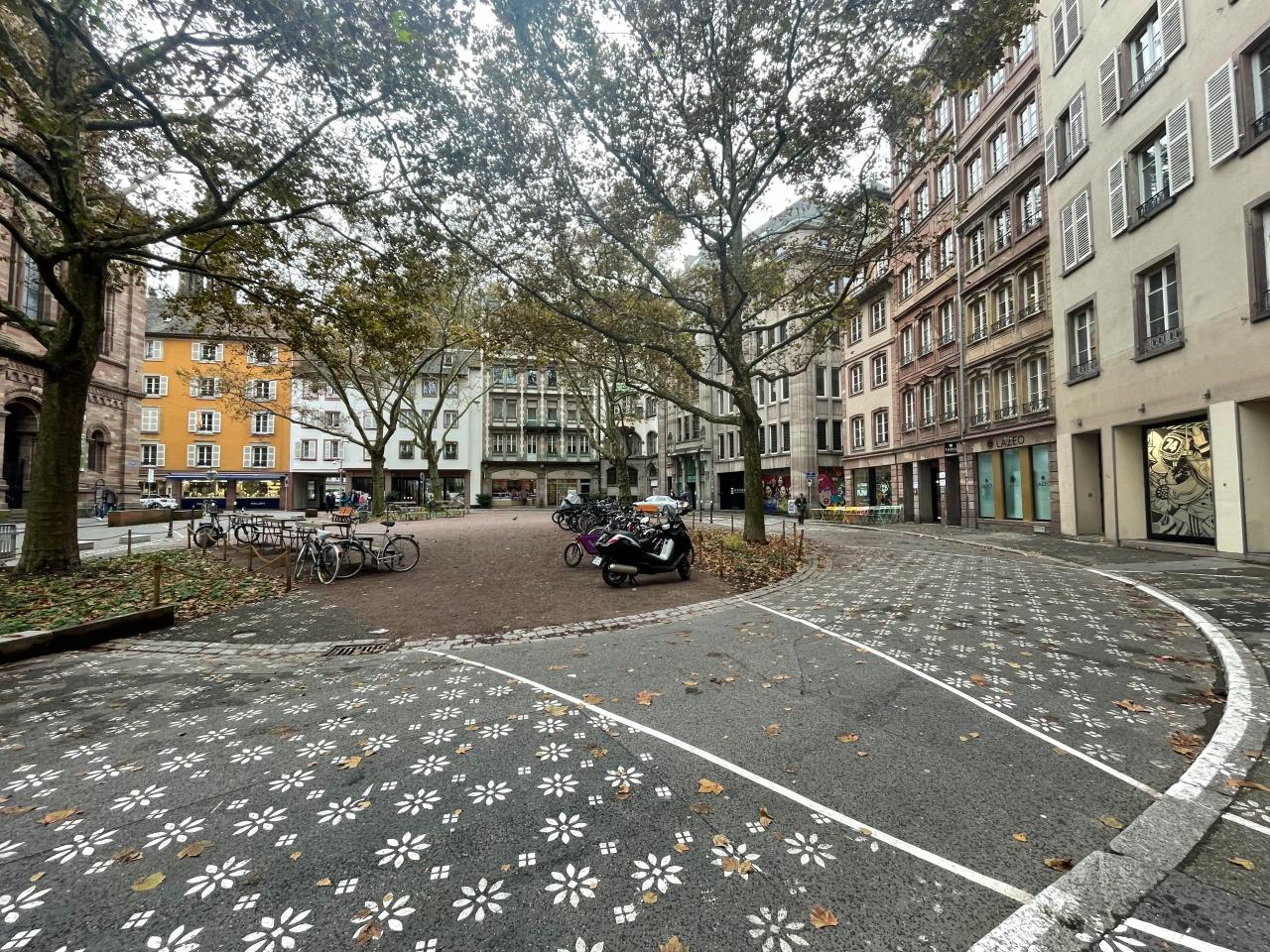 Location bureau Strasbourg Bas-Rhin OLBUR2426654