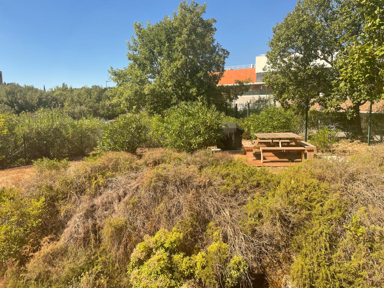 Location bureau Sophia Antipolis Alpes-Maritimes OLBUR2424571 4