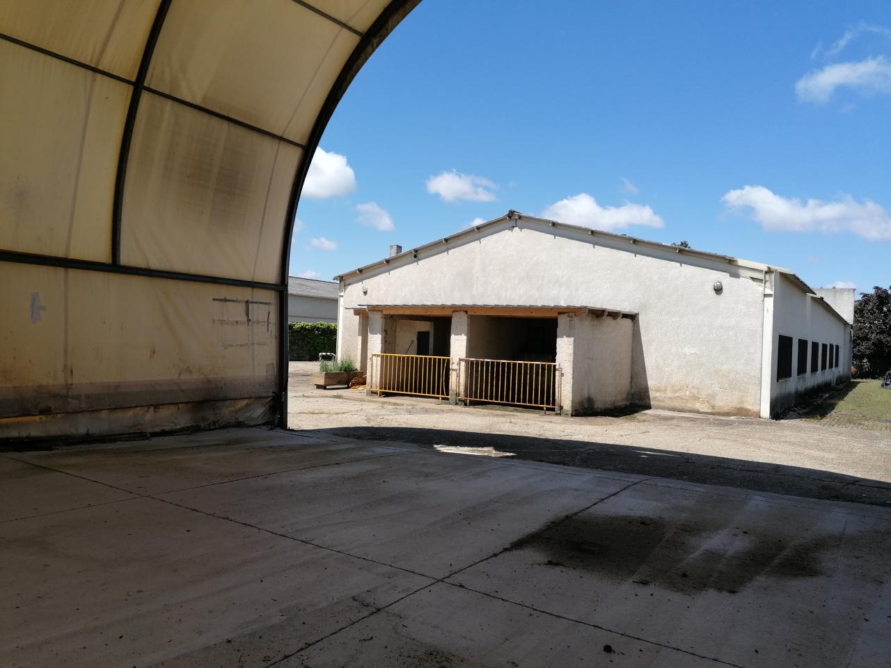 Vente local d'activité Saint-Laurent-de-Mure Rhône OVACT2536458 2