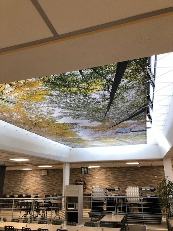 Location bureau Boulogne-Billancourt Hauts-de-Seine OLBUR2203040 3