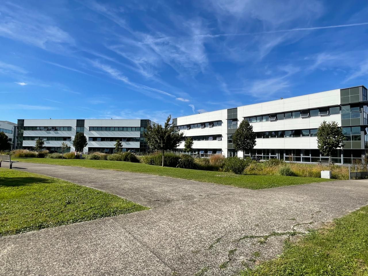 Location bureau Toulouse Haute-Garonne OLBUR2418884 4