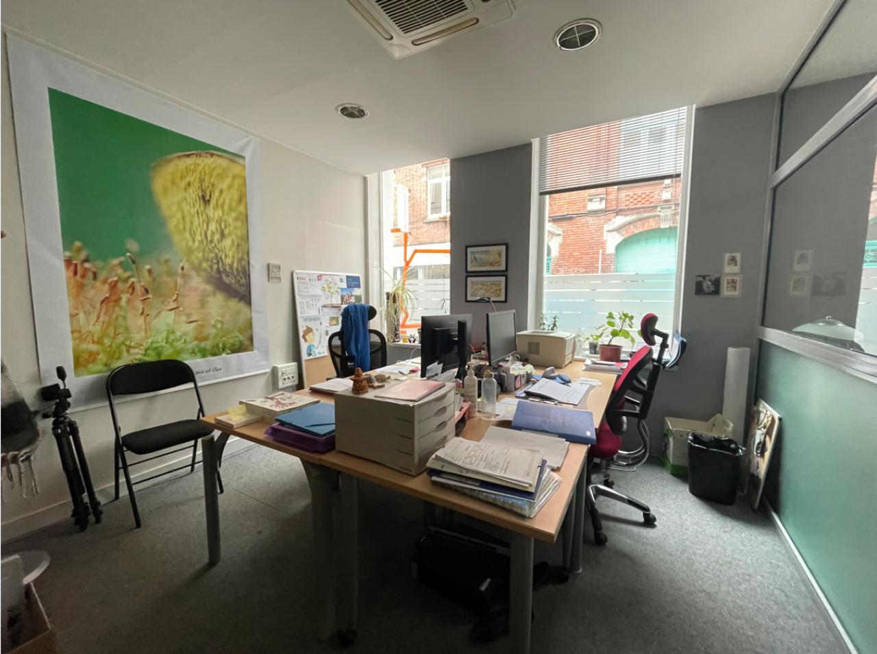 Location bureau Lille Nord OLBUR2641931 4