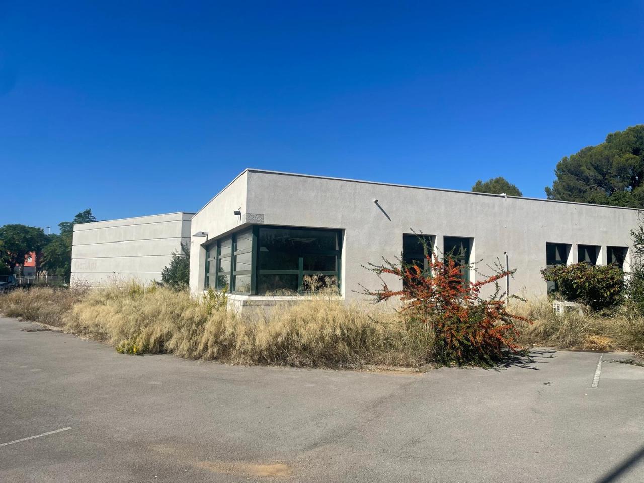 Location bureau Mauguio Hérault OLBUR2534903 2