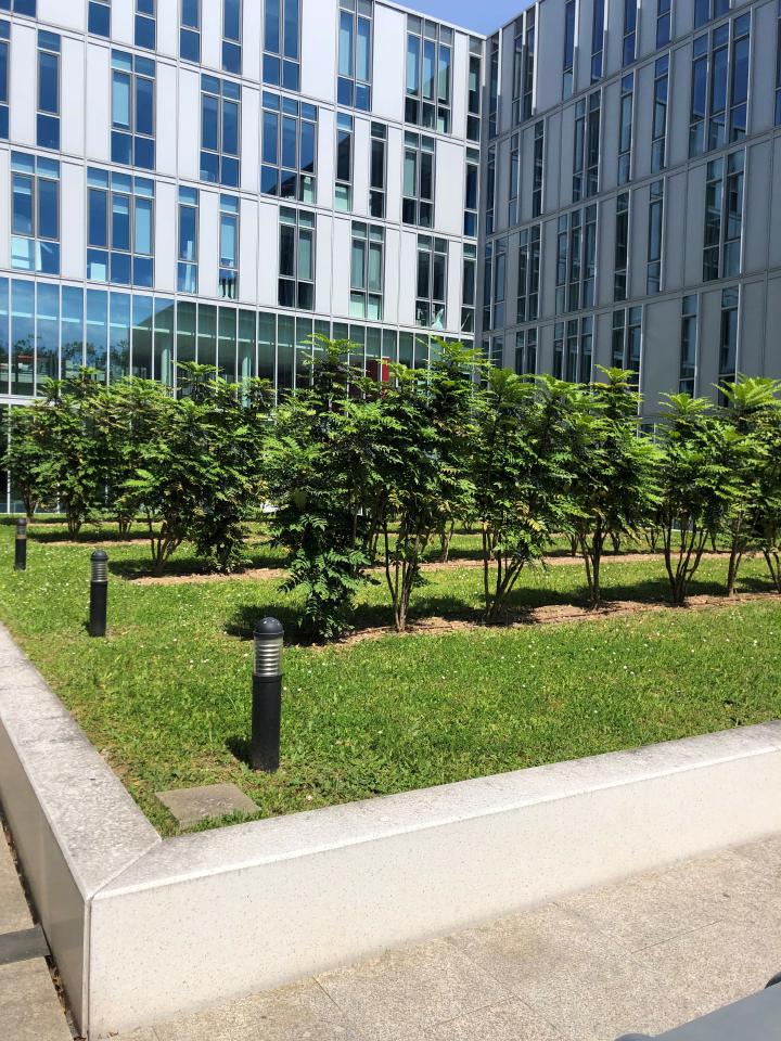 Location bureau Lyon Rhône OLBUR2203208 4