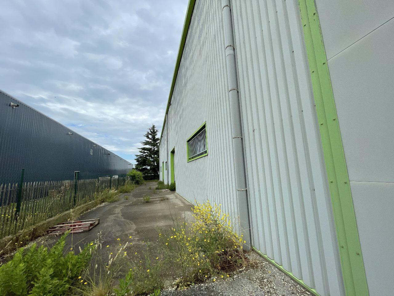 Location local d'activité Mauguio Hérault OLACT2313439 3