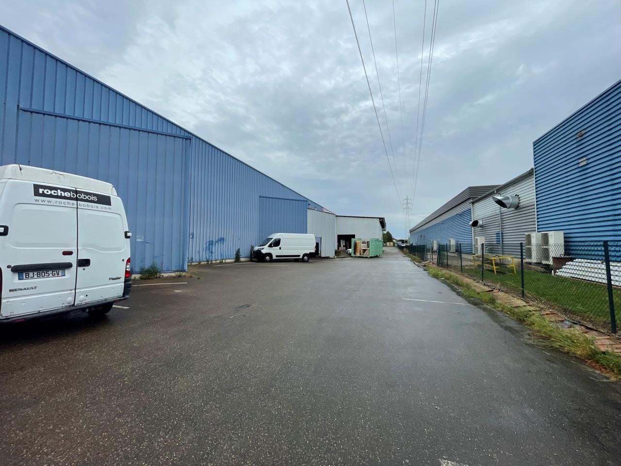 Location local d'activité Duttlenheim Bas-Rhin OLACT2532781 3