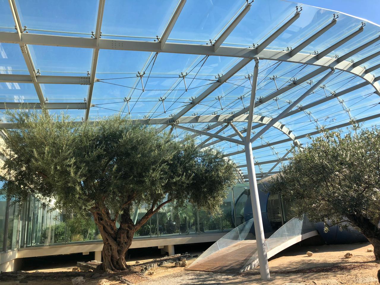 Vente bureau Mauguio Hérault OVBUR2642025 2
