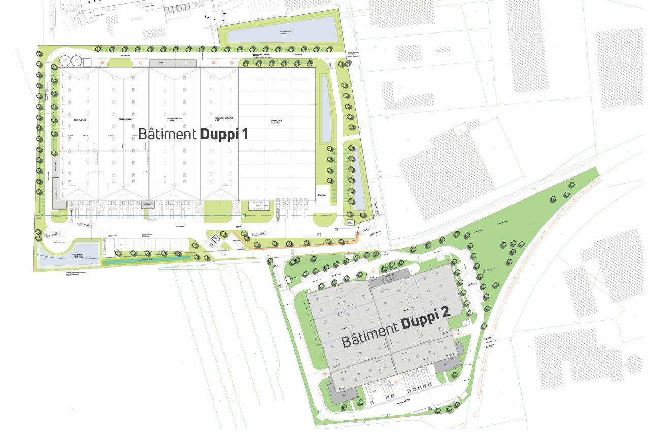 Location entrepôt classe a Duppigheim Bas-Rhin OLLOG2314534 4