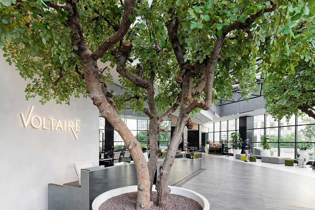 Location bureau Puteaux Hauts-de-Seine OLBUR2100516 3