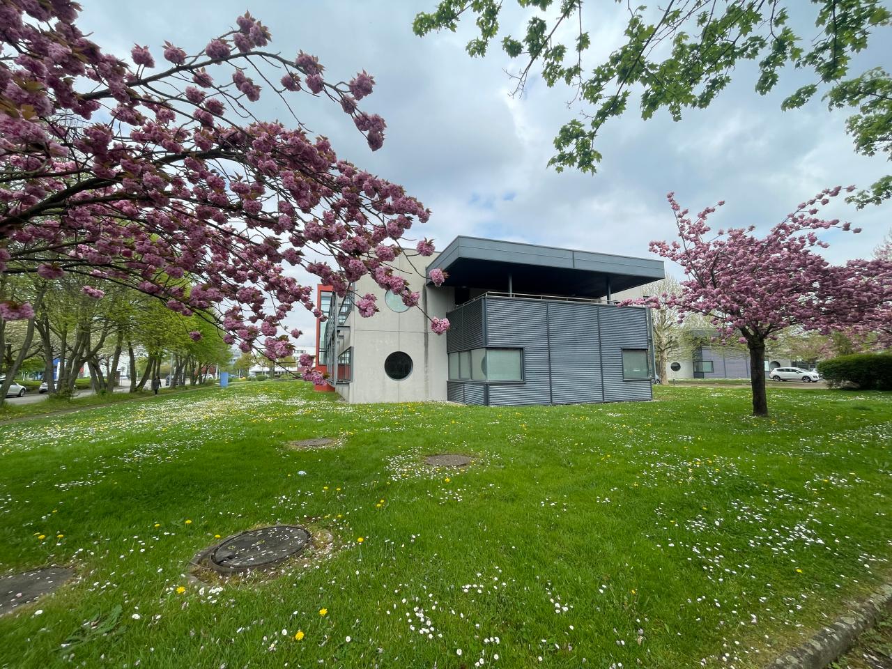 Location bureau Schiltigheim Bas-Rhin OLBUR2534386 2