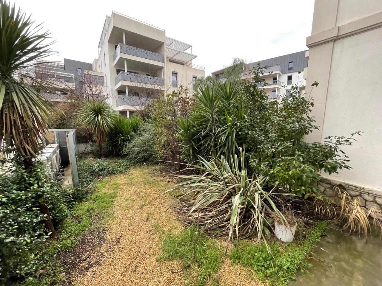 Location bureau Montpellier Hérault OLBUR2638624 3