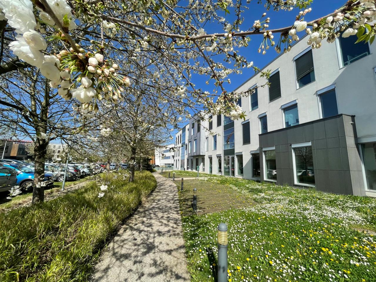 Location bureau Schiltigheim Bas-Rhin OLBUR2110821 2