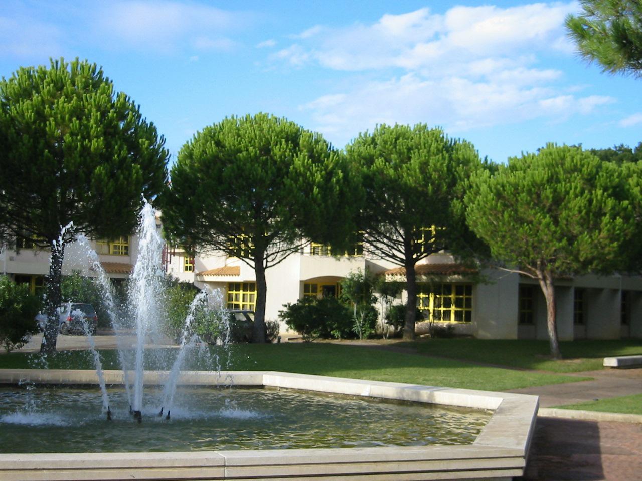 Location bureau Montpellier Hérault OLBUR2643583 2
