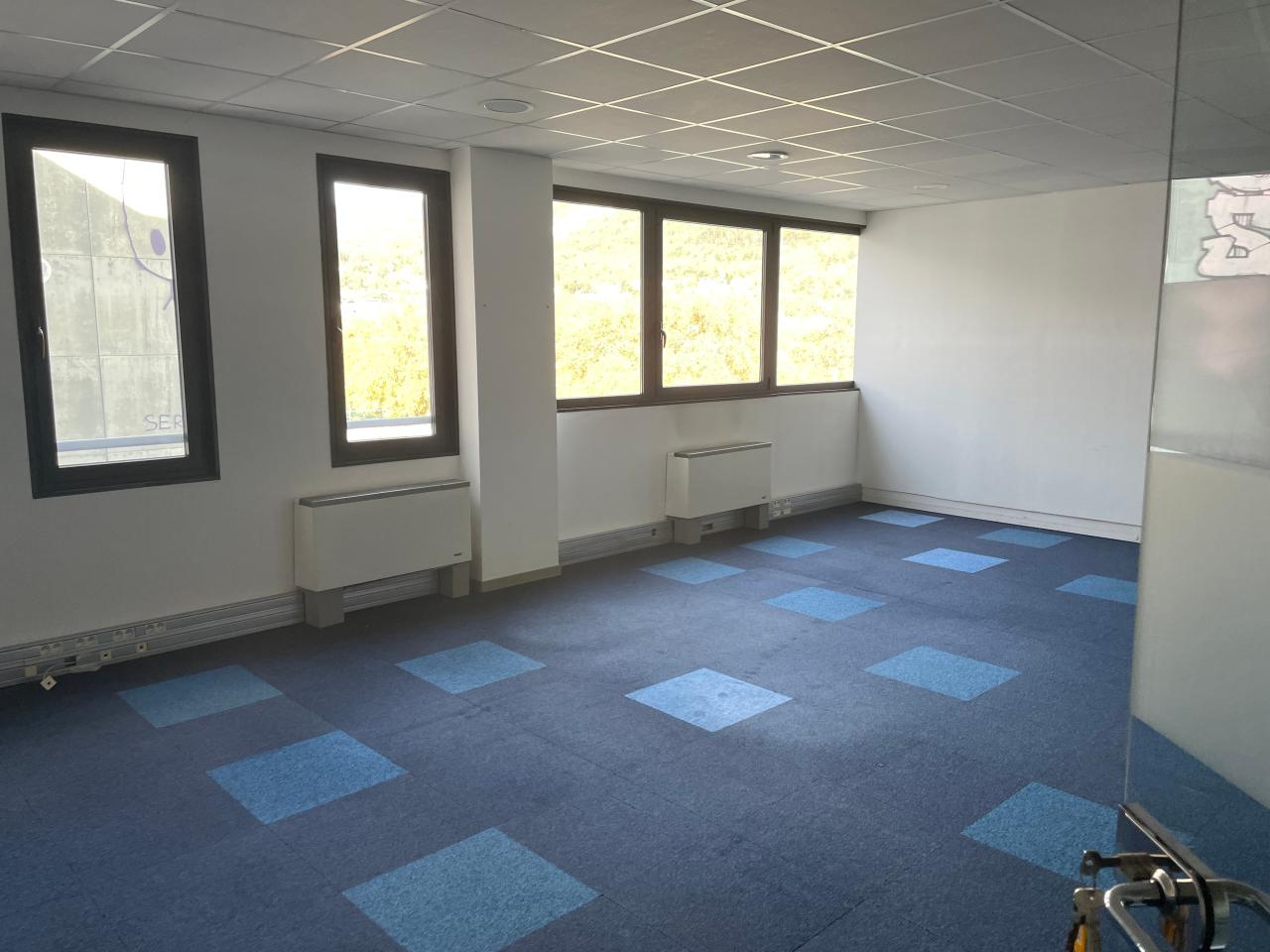 Location bureau Grenoble Isère OLBUR2529838 3