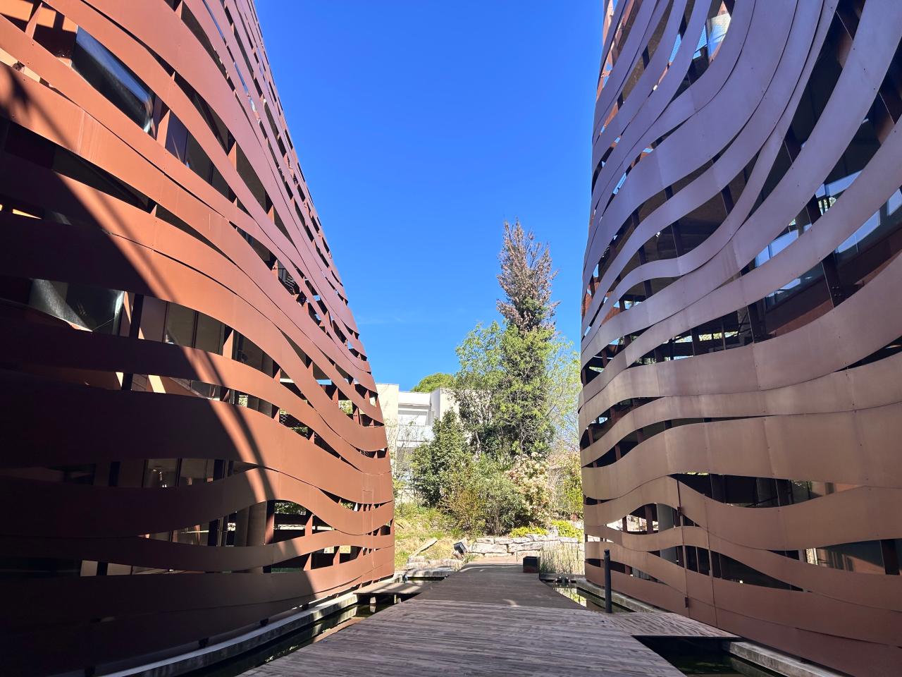 Location bureau Montpellier Hérault OLBUR2531086 4