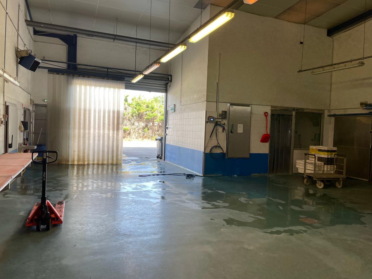 Location local d'activité Gennevilliers Hauts-de-Seine OLACT2426015 4