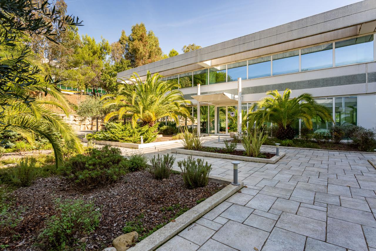 Location bureau Sophia Antipolis Alpes-Maritimes OLBUR2422751 2