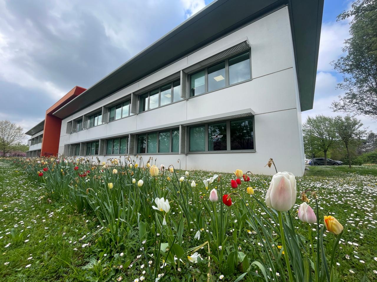 Vente bureau Schiltigheim Bas-Rhin OVBUR2535770 4