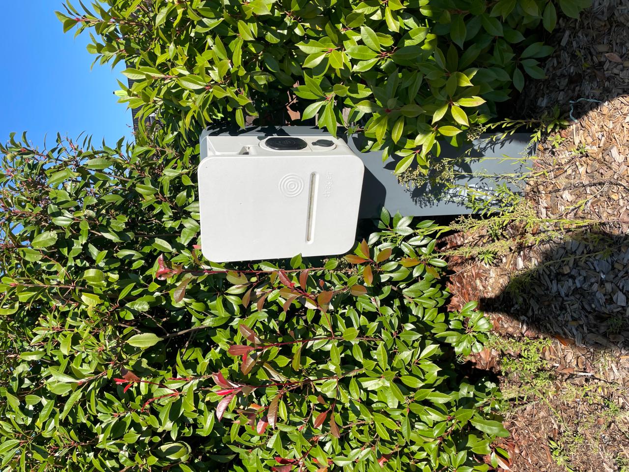 Location bureau Hoerdt Bas-Rhin OLBUR2535557 3