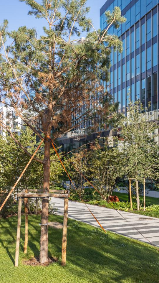 Location bureau Bois-Colombes Hauts-de-Seine OLBUR2100444 1