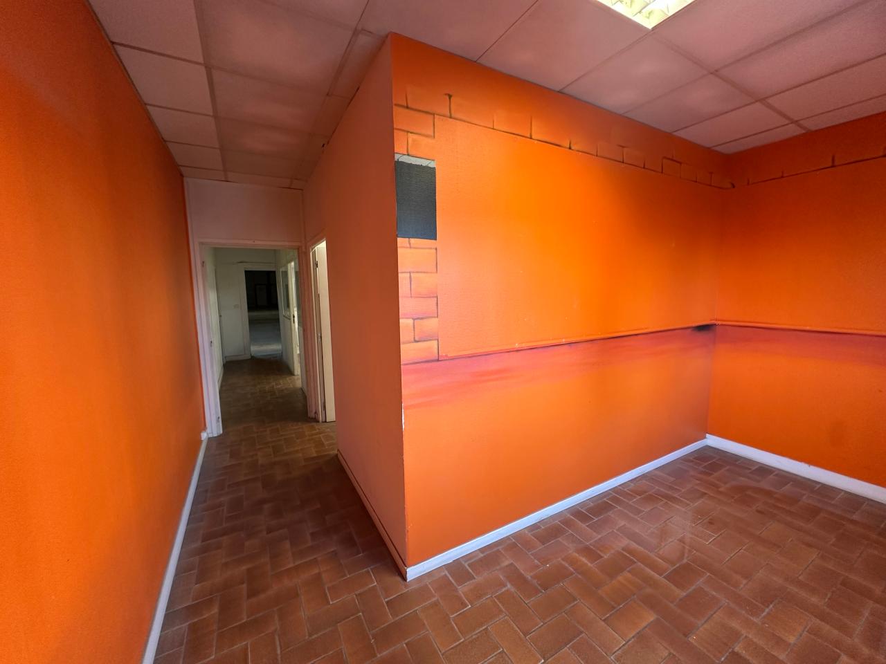 Location local d'activité Saint-Avertin Indre-et-Loire OLACT2537154 1