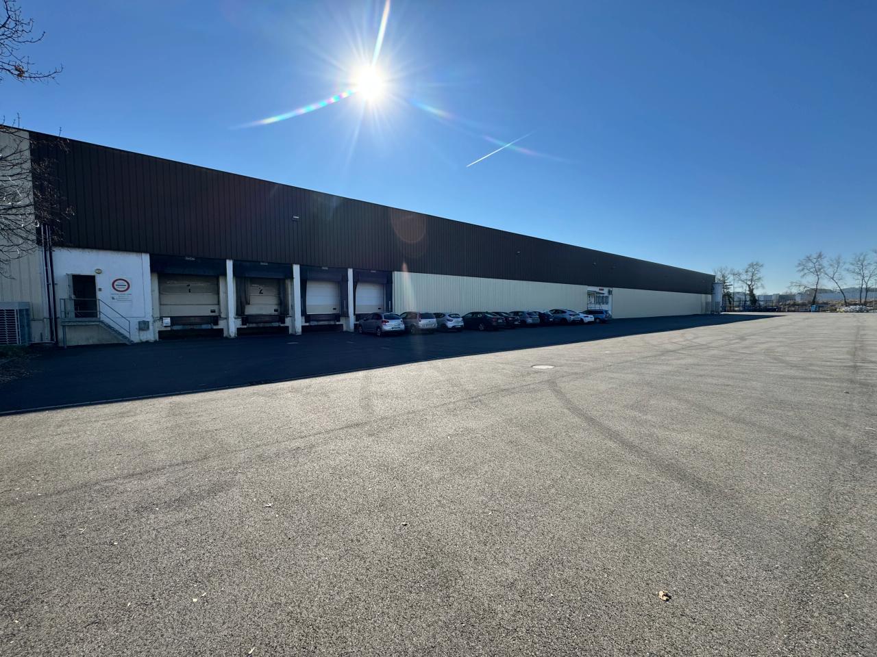 Location Entrepôt Strasbourg OLLOG2530804