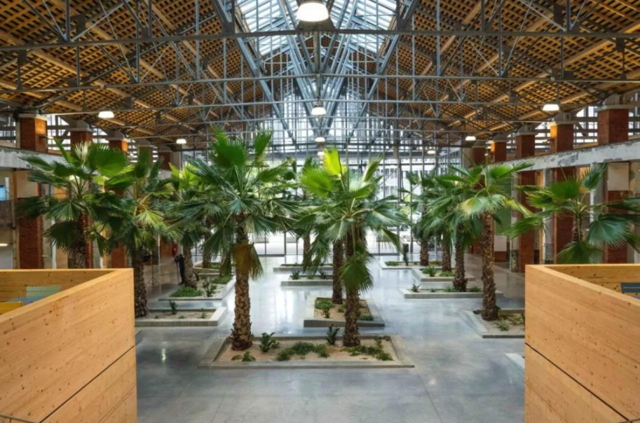 Location Coworking Toulouse OLBUR2531608