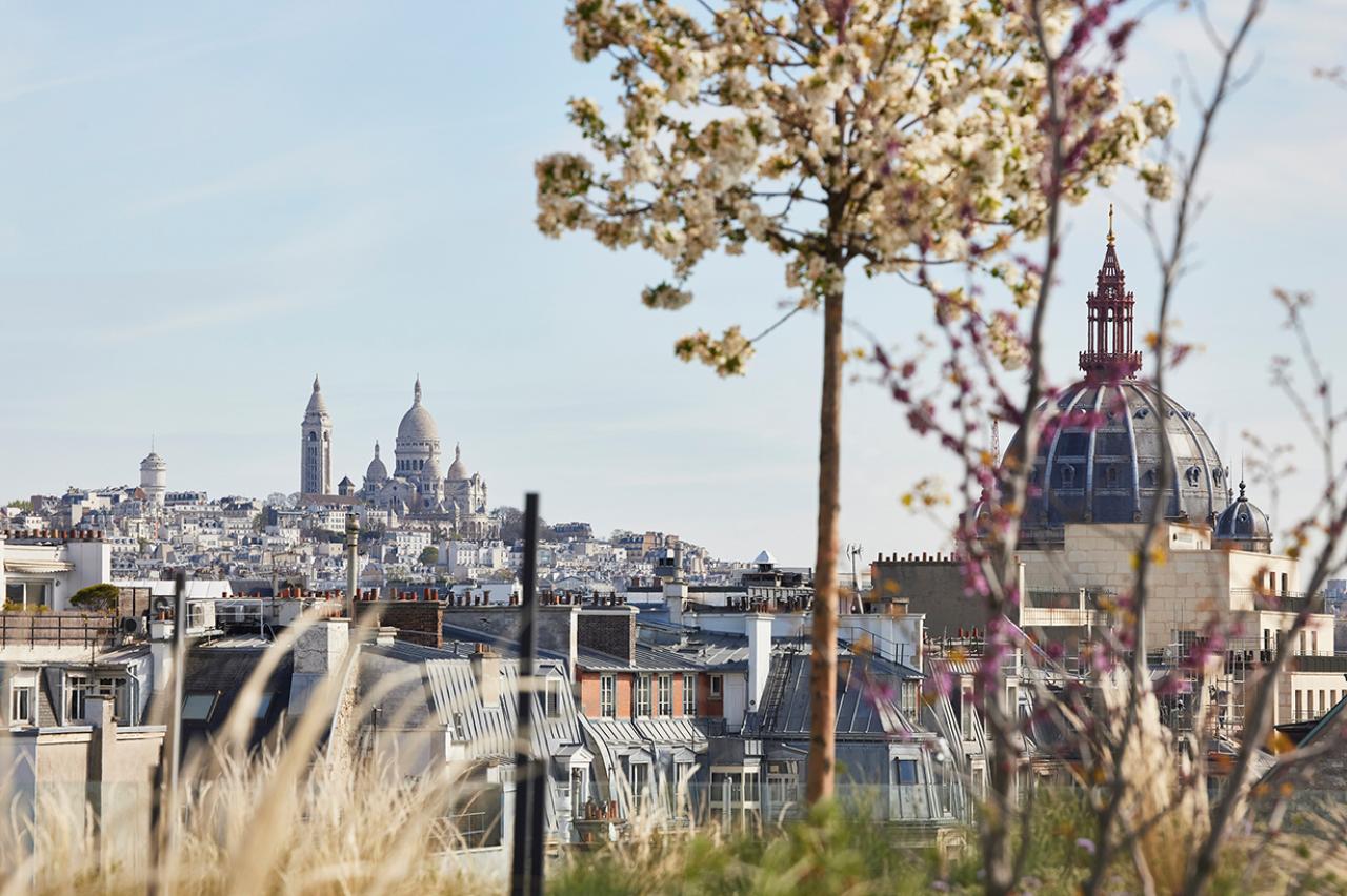 Location Coworking Paris OLBUR2100972