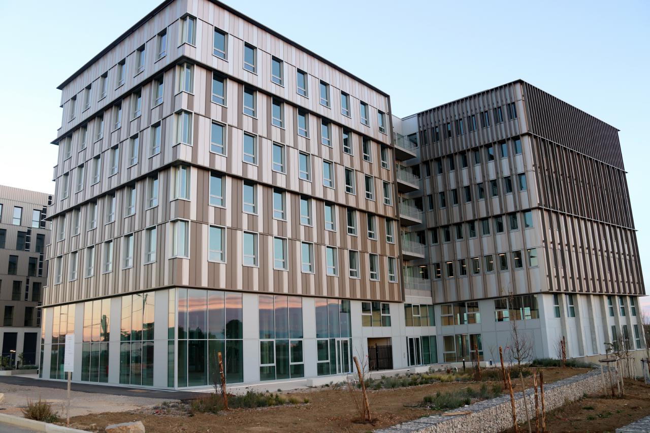 Location Bureau Montpellier OLBUR2115024