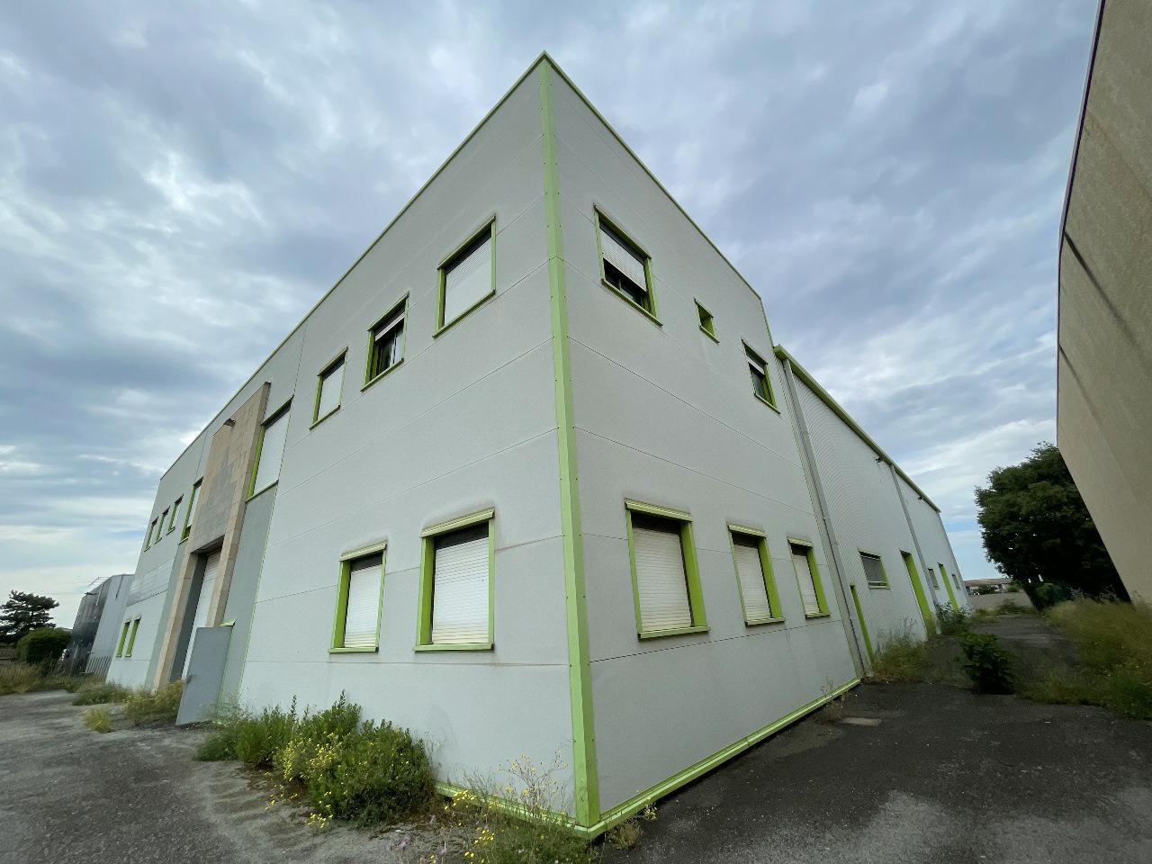 Location Local d'activité Mauguio OLACT2313439