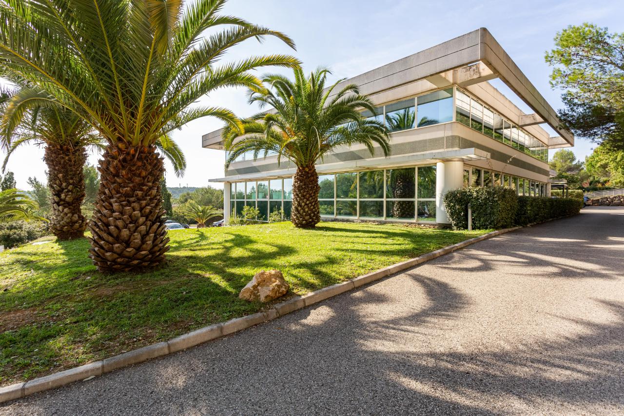 Location Bureau Sophia Antipolis OLBUR2422751